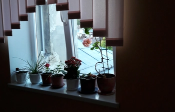Фото