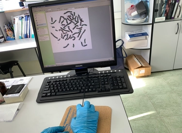 Фото