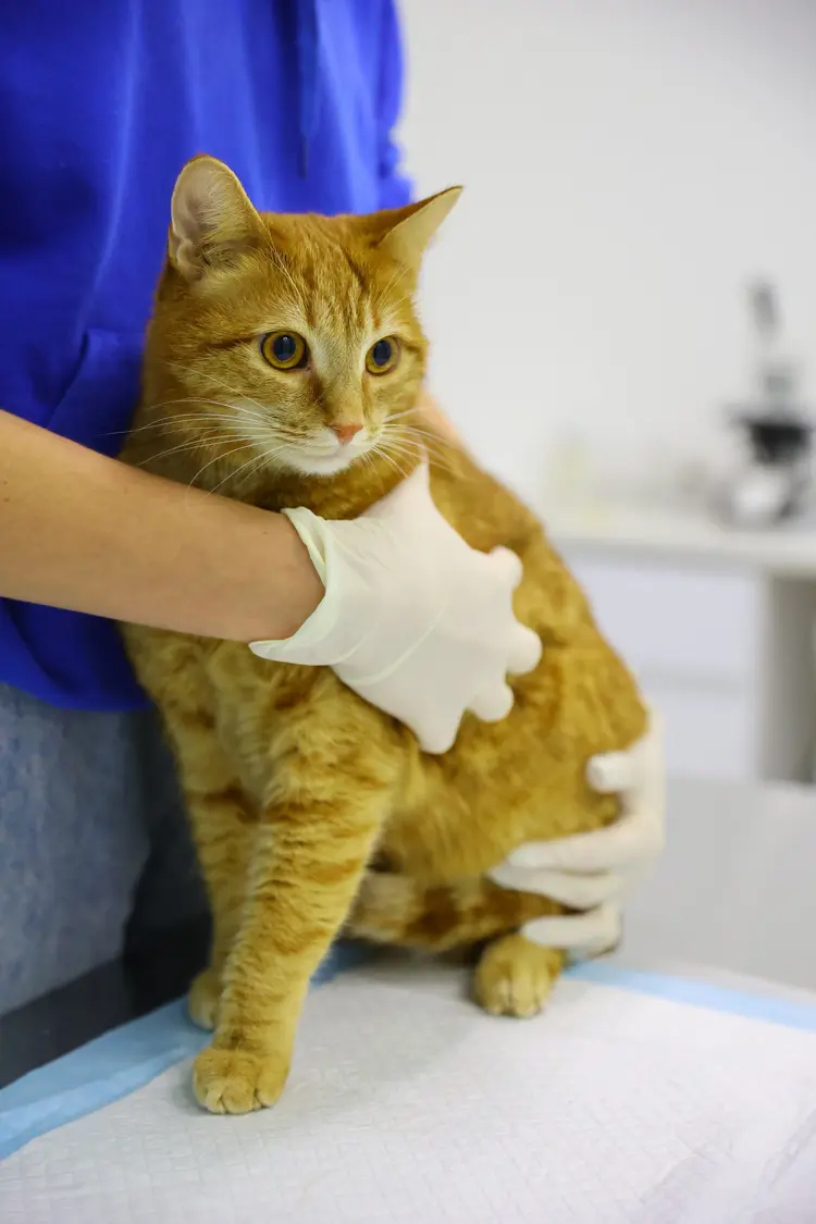 Фото