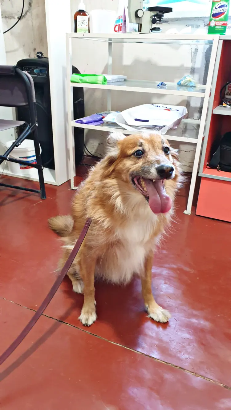 Фото